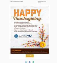 LinkMD Digital Healthcare Marketing