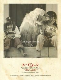 Northshore Town Center in Knoxville Tennessee--series of three print ads